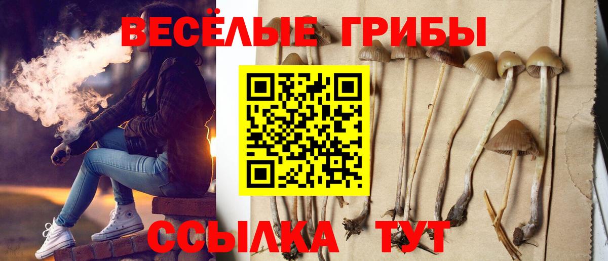 Галлюциногенные грибы прущие грибы Севастополь